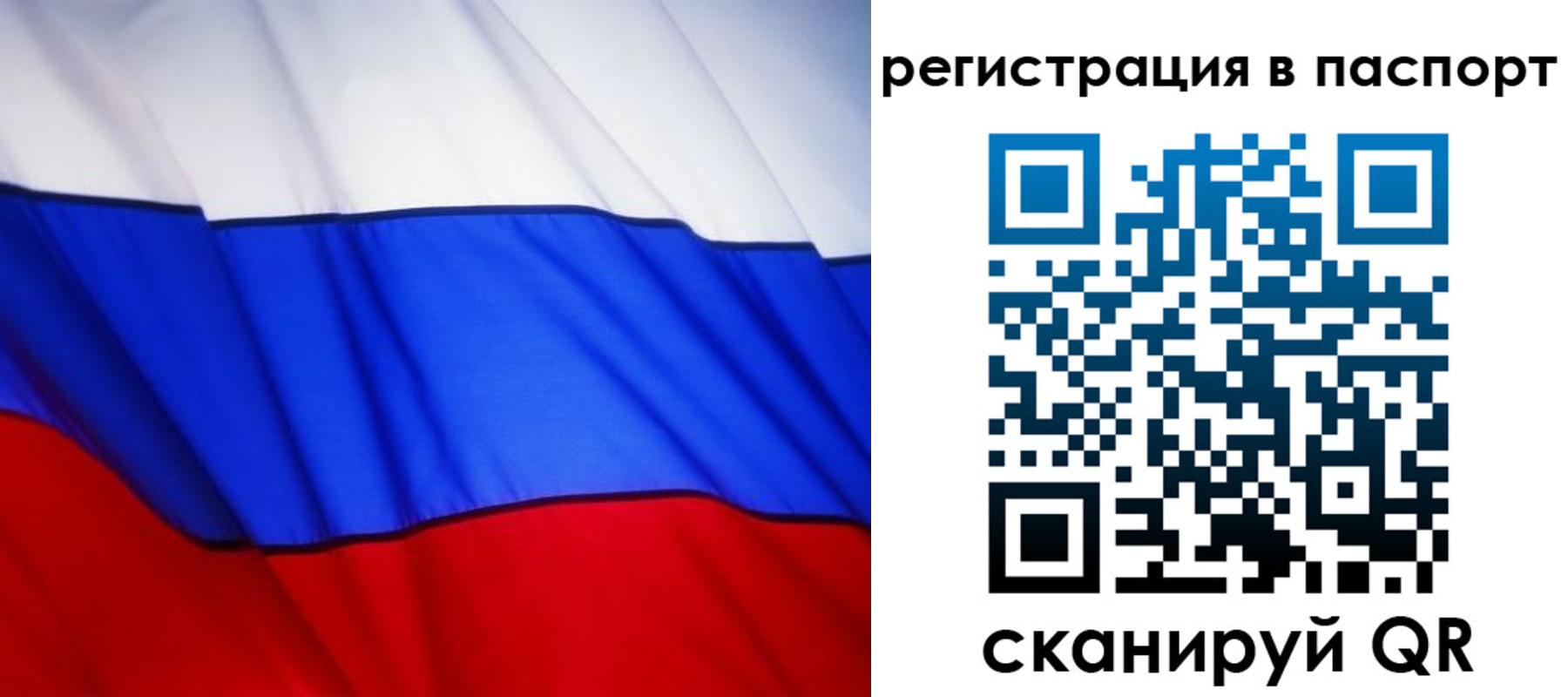 прописка 2025 в Смоленской области